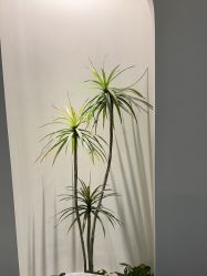 -VE小颜皮肤管理&科学美肤中心