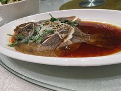 清蒸多宝鱼-陶然居·重庆菜(鱼洞老街店)