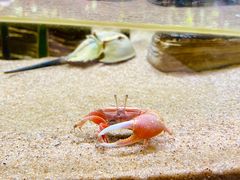 -欢乐海岸海洋奇梦馆