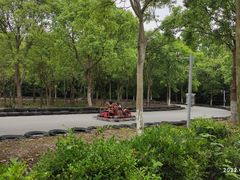 -上海海湾国家森林公园