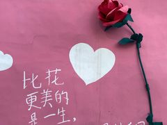 -温州乐园