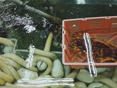 -新海山海鲜餐馆