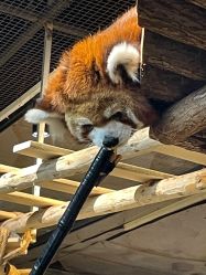 -Zoolung Zoolung动物主题公园(海信广场店)