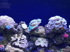-石家庄极地海洋世界