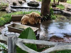 -海南热带野生动植物园