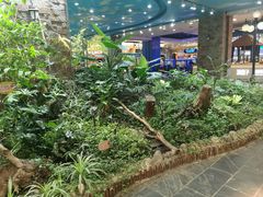 -凯德广场(学府店)