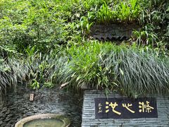 -十八棵（老龙井）御茶园(老龙井店)