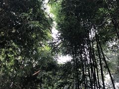 -成都杜甫草堂博物馆