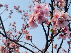 -龙寺生态园