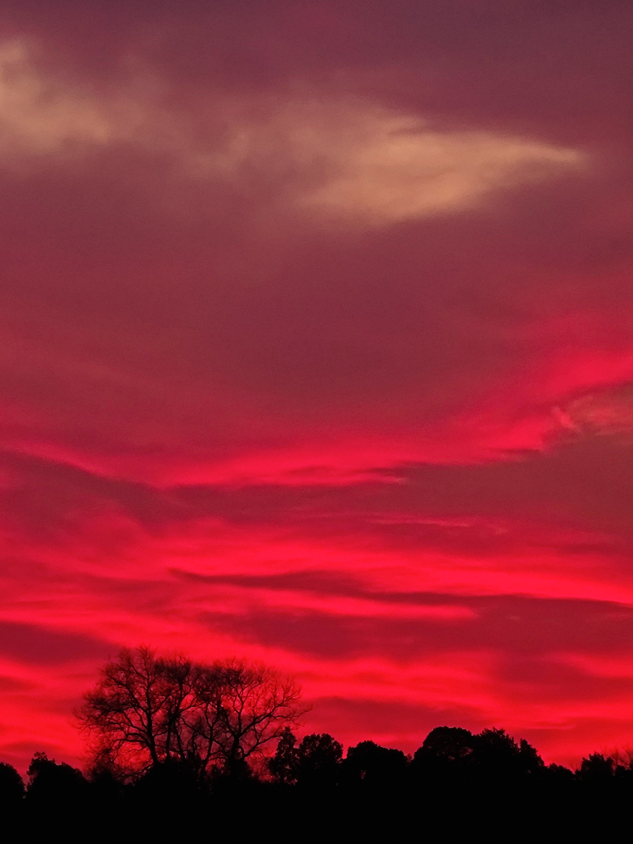 晚霞染红了天空