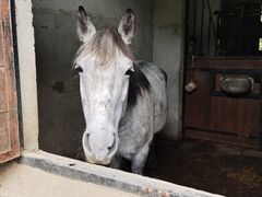 -宁海安岚·南溪阁全日餐厅