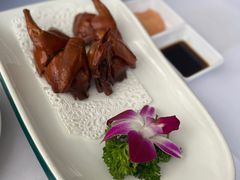 -院里寻菜·精致庭院菜(观沙岭店)