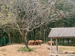 -扬州市茱萸湾风景区