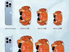-阳澄湖大闸蟹·琼灵阁牌品牌连锁(吴中总店)