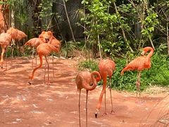 -南京金牛湖风景区