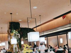 -阿露佳·舌尖上的安吉菜