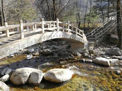 -陕西省红河谷森林公园