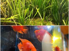 -上海大自然野生昆虫馆