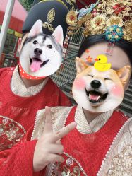 -金夫人婚纱摄影(总店)