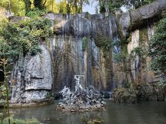 -西双版纳原始森林公园