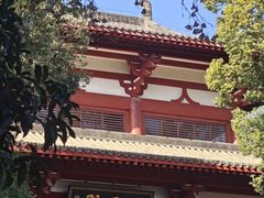 -潜山国家森林公园