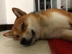 -博纳私人订制健身(中集美兰湖店)