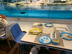 -帝企鹅自助餐厅•儿童岛•真企鹅(长隆企鹅酒店)