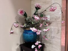 -彩葉·樱花屋日本料理(动物园店)