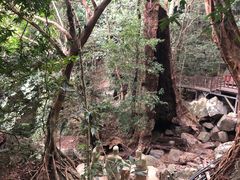 -七仙岭温泉国家森林公园