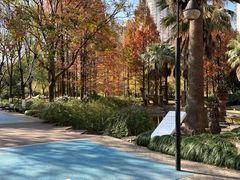 -苏州河梦清园环保主题公园