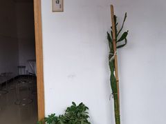 -竹园小居(石塘竹海店)
