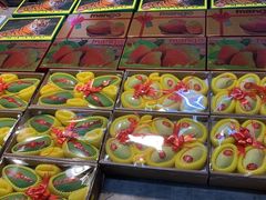 -沈阳市八家子水果批发市场