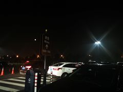-迪士尼乐园停车场