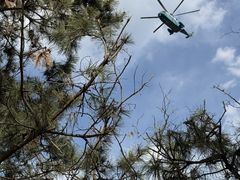 -山东八大碗山东老字号