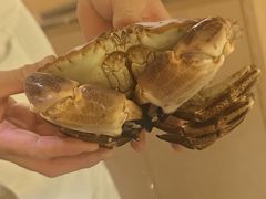 -松临·铁板烧&Omakase(神农店)