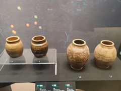 -盘龙城国家考古遗址公园