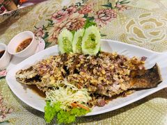 -Jungle Kitchen