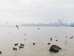 -深圳湾公园(南山区)