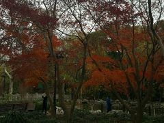 -鲁迅公园