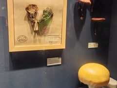 -四川大学博物馆