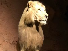 -浙江自然博物院(杭州馆)