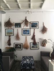 -沐曦摄影工作室