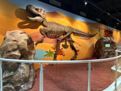 -北京科学中心儿童乐园