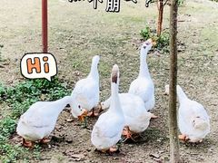 -韶关经律论国际酒店温泉