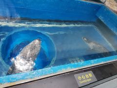 -海合安武汉极地海洋公园