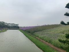 -迪茵湖田家舍生态农场