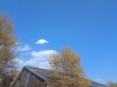 -丁香湖公园