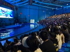 -石家庄海洋公园