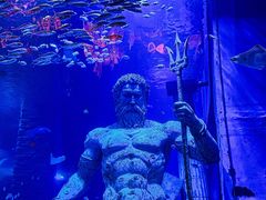 -正佳极地海洋世界