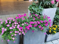 -宁波杉井奥特莱斯广场